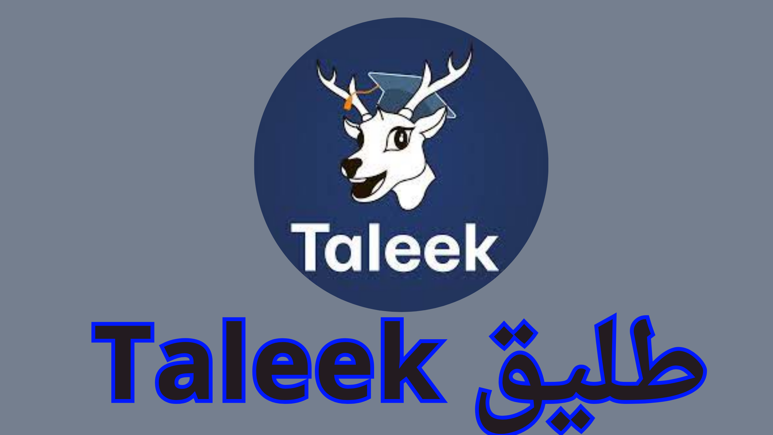 تحميل تطبيق طليق Taleek للاندرويد دروس لتعلم اللغة 2024