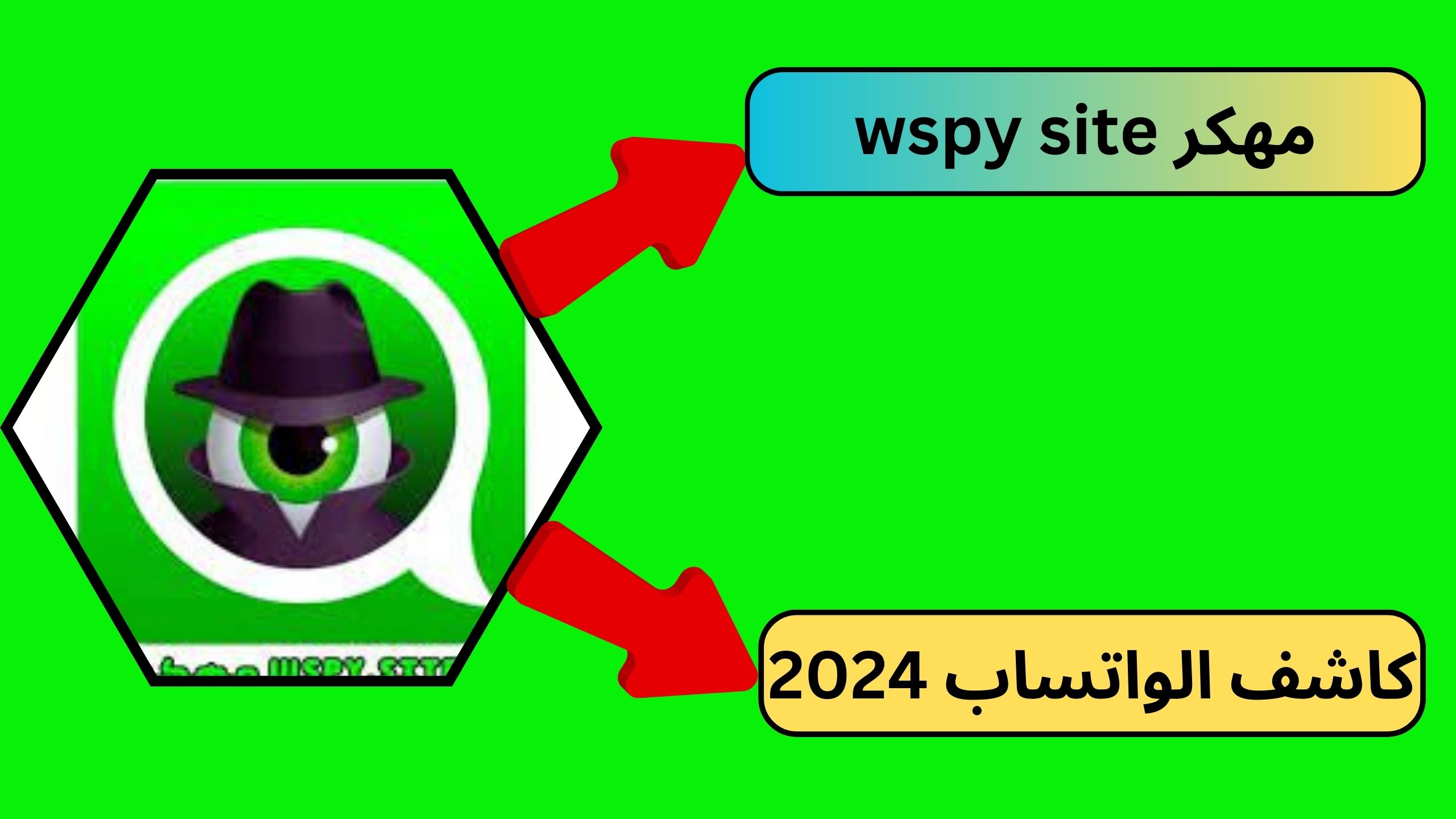 تنزيل برنامج wspy.site مهكر كاشف الواتساب 2023