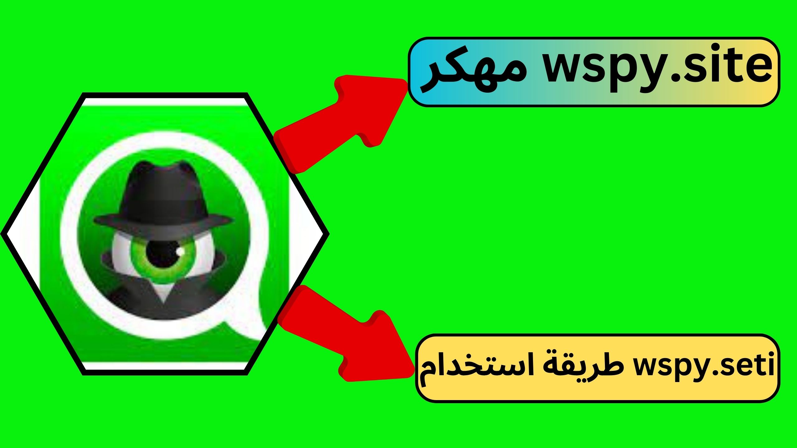 طريقة استخدام وتحميل برنامج wspy site مهكر كاشف الواتساب مجانا 2024