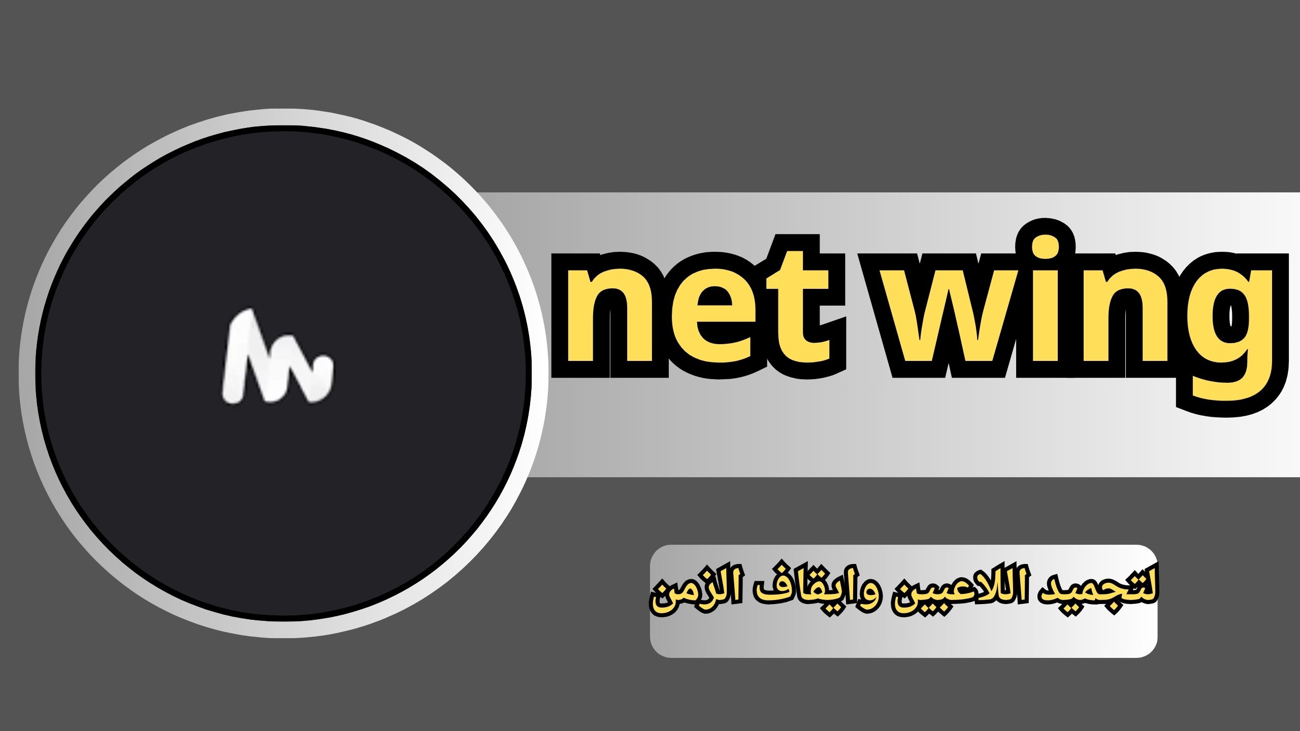 طريقة تفعيل برنامج net wing ببجي لتجميد اللاعبين وايقاف الزمن 2024